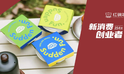 上线销量300份+，用户最高30天复购5次，SUDDEN FUN如何通过DTC营销模式直击消费者