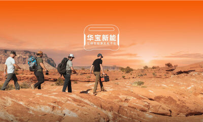 上市一年，华宝新能“失速”