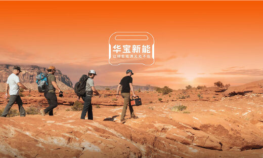 上市一年，华宝新能“失速”