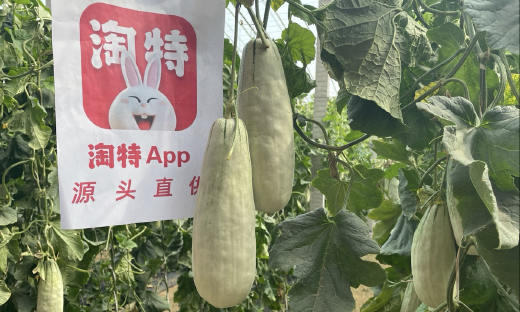 沉下气下沉、重投入基建，淘特AAC超过3亿