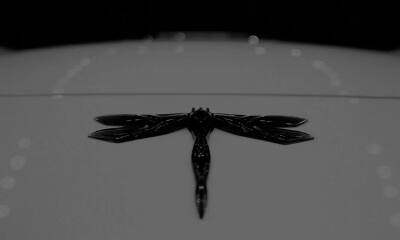 “国产迈凯伦”再回春：效仿FF境外上市，年轻小超跑有多大市场