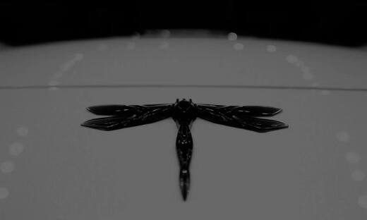 “国产迈凯伦”再回春：效仿FF境外上市，年轻小超跑有多大市场