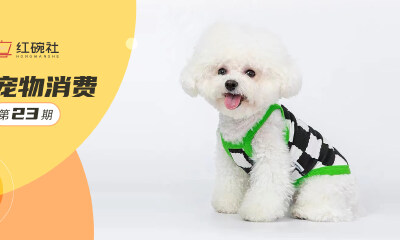 主打时尚品质宠物服装，旺季月销破百万，Mookipet如何持续不断打造成功爆款