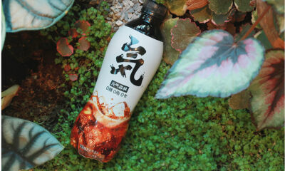 可乐大战背后：元气森林走到十字路口