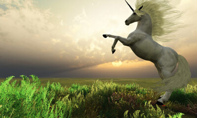 徐州冲出又一个独角兽，估值70亿