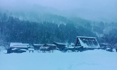 今冬最强寒潮南下，“保暖经济”与“冰雪经济”兴起，性价比保暖成主流