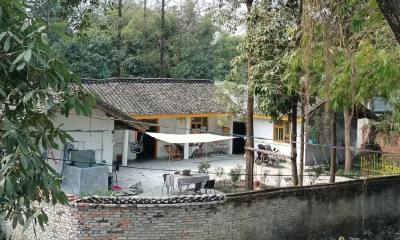 打工人的周末，去农村租院子种菜