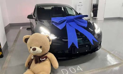 “特斯拉，大坏蛋”｜车主派