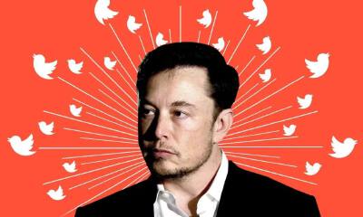 暴改推特一周：员工“抱头鼠窜”，马斯克成盖世太保