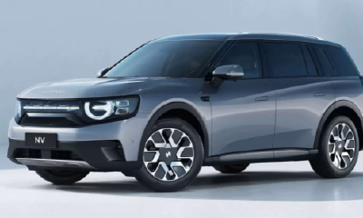 刚刚，李一男的自游家，黄了