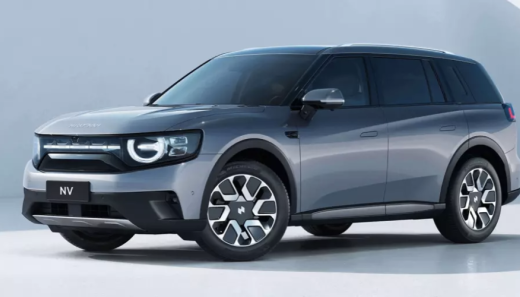 刚刚，李一男的自游家，黄了