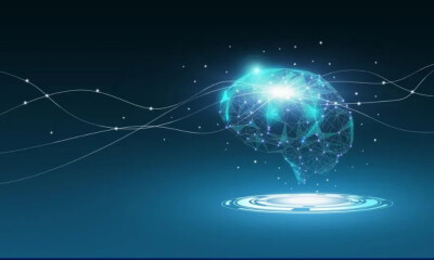 猴羊猪不够用了，上周脑机试验成功，有头部VC买了整个赛道