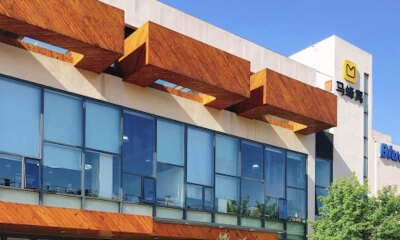 被“遗忘”的马蜂窝