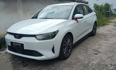 威马车主：开它跑网约车，我像个笑话｜车主派