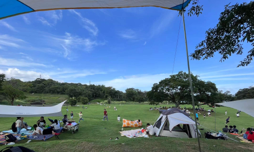 精致踏青火爆全网，赏花游站上风口，京东、唯品会户外服饰销量剧增