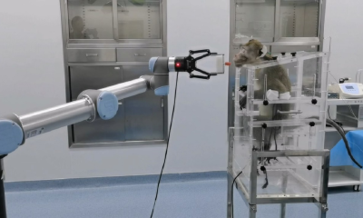 全球首例！南开大学完成介入式脑机接口非人灵长类动物试验