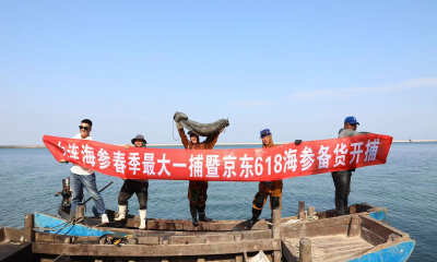 京东超市多措并举上线优质海参，一根19块9挑战全网最低价