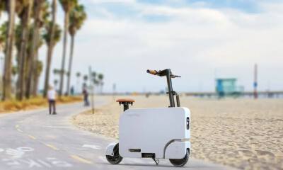 「纯电小板凳」来了！续航20公里，本田官宣，网友：出行版iPhone