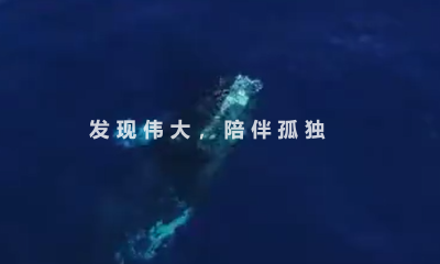 对话水木梧桐创投：把握结构性趋势是未来投资关键