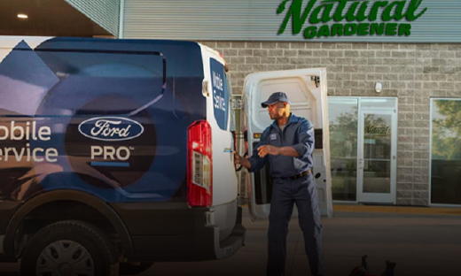 “忘掉特斯拉和FSD吧，我们这项业务才是未来”