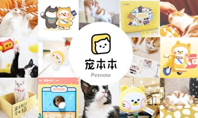 宠物O2O平台宠本本完成1亿元B轮融资，前泽资本领投