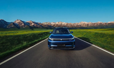 赛力斯，能过个肥年了