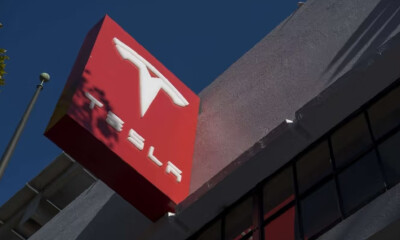 卖给印度人的Model Y，起步价50万