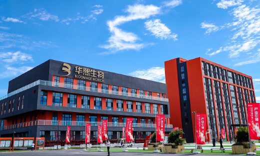 90后最爱的“国货之光”，裁员了