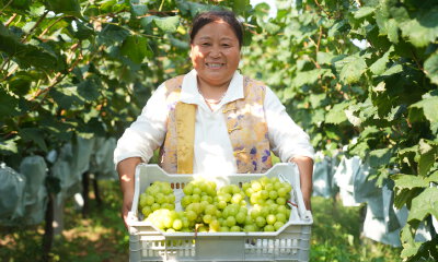 更“懂”农户的AI，来了