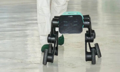 镜识科技完成数千万元A轮融资，加速行业级机器人量产与交付