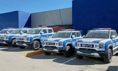 中国新能源车出口海外，比亚迪入选多国公务车