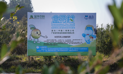 从餐桌到梳妆台，有机山茶油盒马村“榨”出茶果新价值