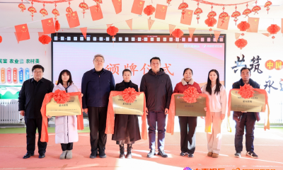  “淘票票星光点点”公益放映项目年内将增建31个“星光影院”，首批4个落户张北