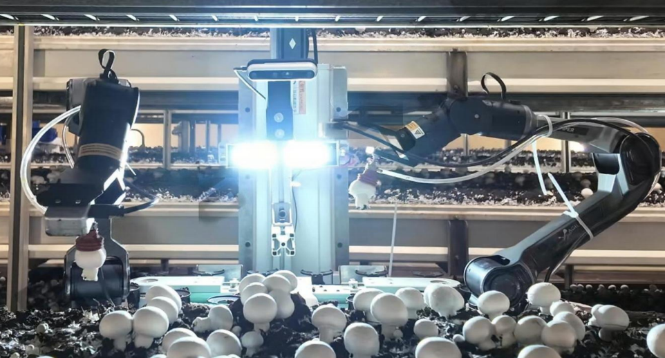 禾芯动力完成数千万元天使轮融资，推动“农业具身智能”落地全球