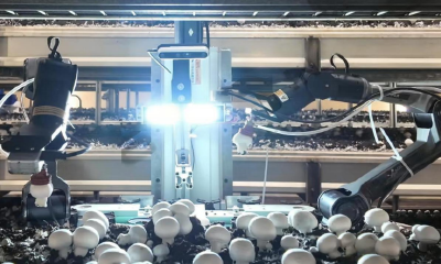 禾芯动力完成数千万元天使轮融资，推动“农业具身智能”落地全球